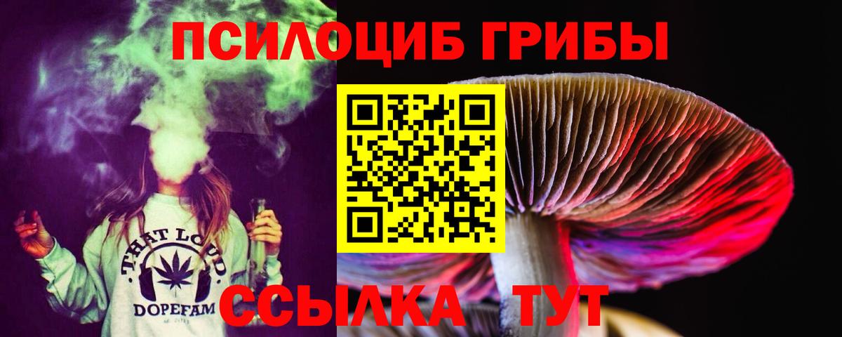 Галлюциногенные грибы GOLDEN TEACHER  Вход с VPN  Грязи 